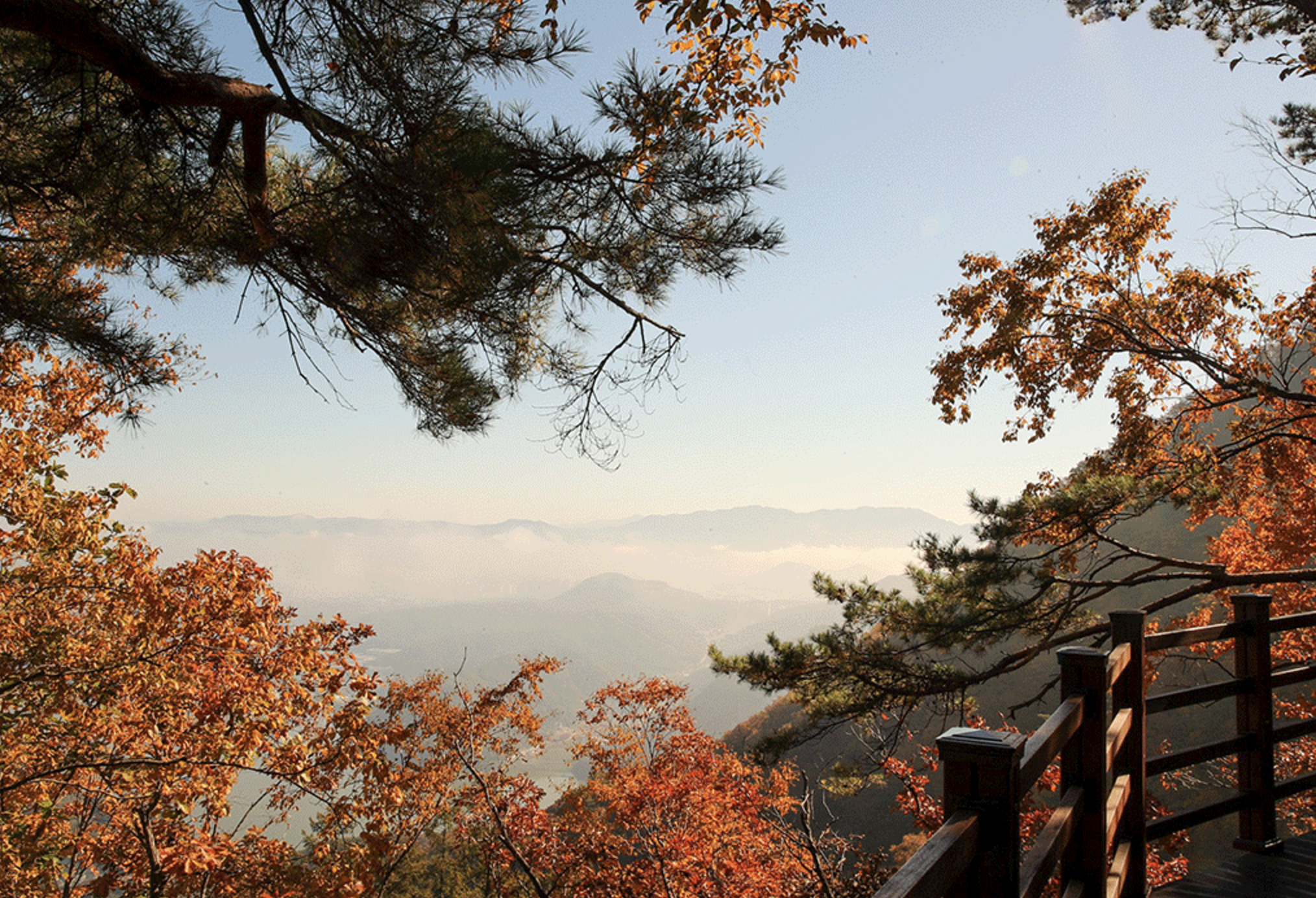 춘천 삼악산 호수케이블카 산책길&amp;스카이워크 안내