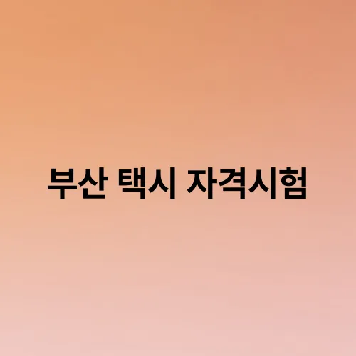 부산 택시 자격시험