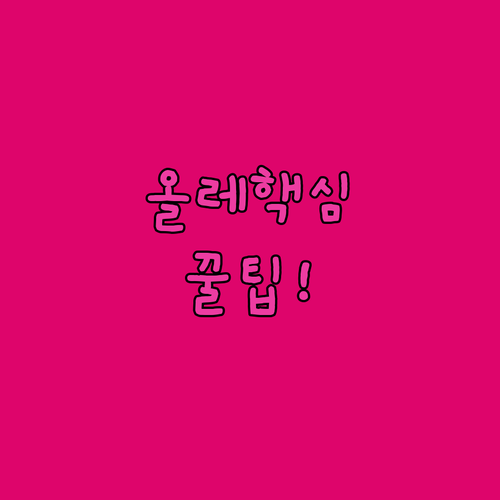 스플리트 카페 올레 여행 예산별 추천..