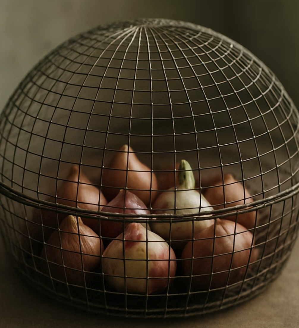 흙 속의 보물을 지켜라