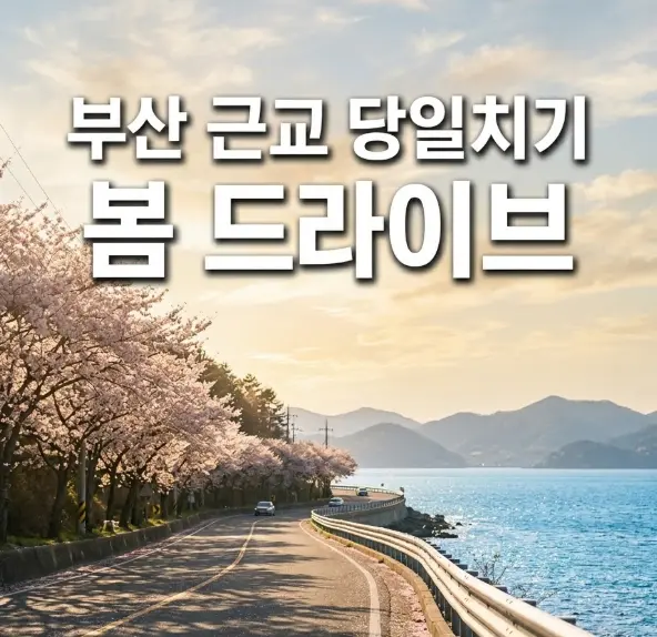 부산 근교 봄 드라이브 코스, 골든아워 햇살 아래 벚꽃 가로수와 남해 해안도로가 펼쳐진 풍경, 상단에 당일치기 드라이브 제목 텍스트가 삽입된 세로형 여행 블로그 썸네일