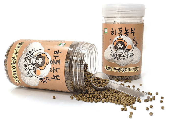 [6시 내고향] 하동 노루궁뎅이 버섯 택배주문 생버섯 건조버섯 판매 하동농부(+효능)