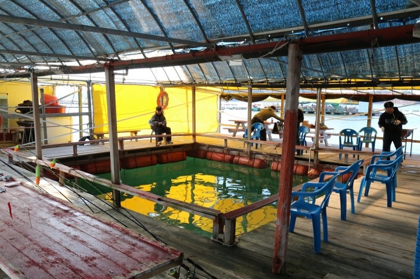 6시내고향 서산 해상낚시터펜션 인생은행복해 어촌계장 해상낚시터