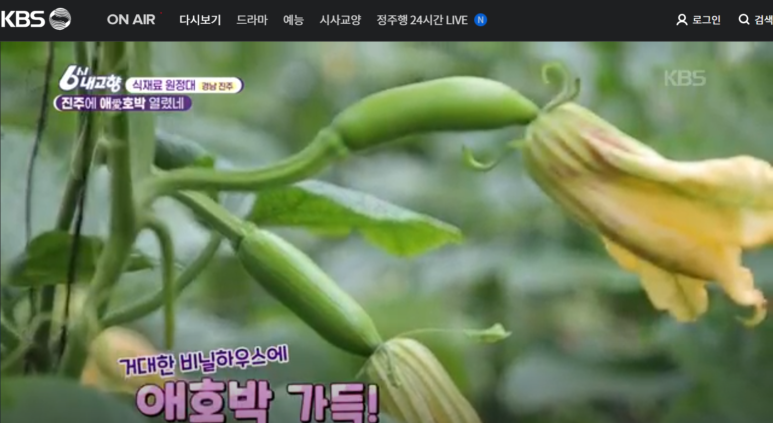 12월 29일 방송된 [ 식재료 원정대 &ndash;애호박가스&amp;#44; 꾸러미튀김가락국수&amp;#44; 애호박초밥케이크] 관련 레시피입니다.