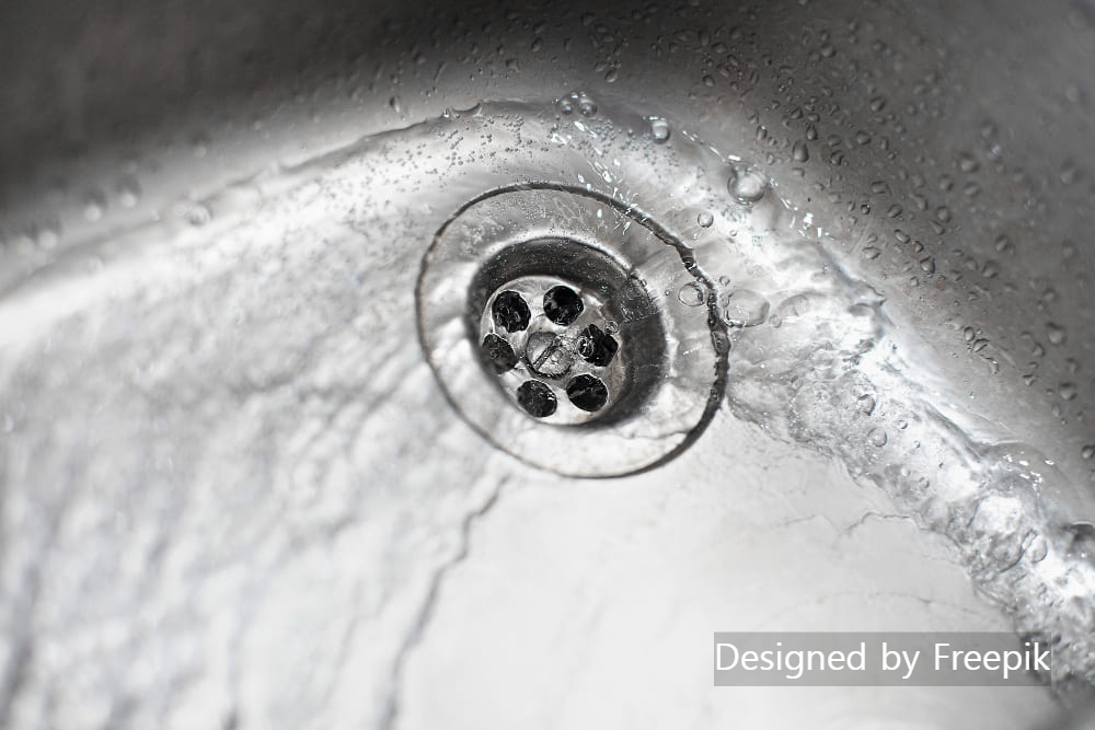 초파리 없애는 법