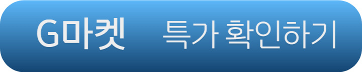 G마켓 오사카 항공권
