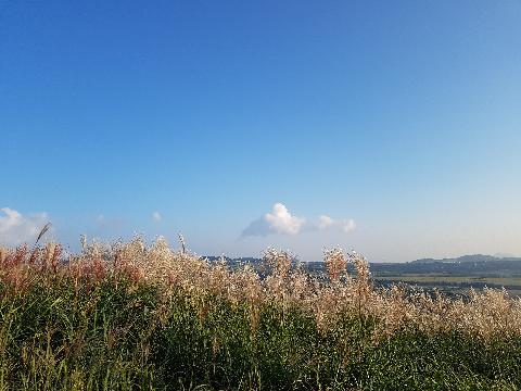 새벽오름