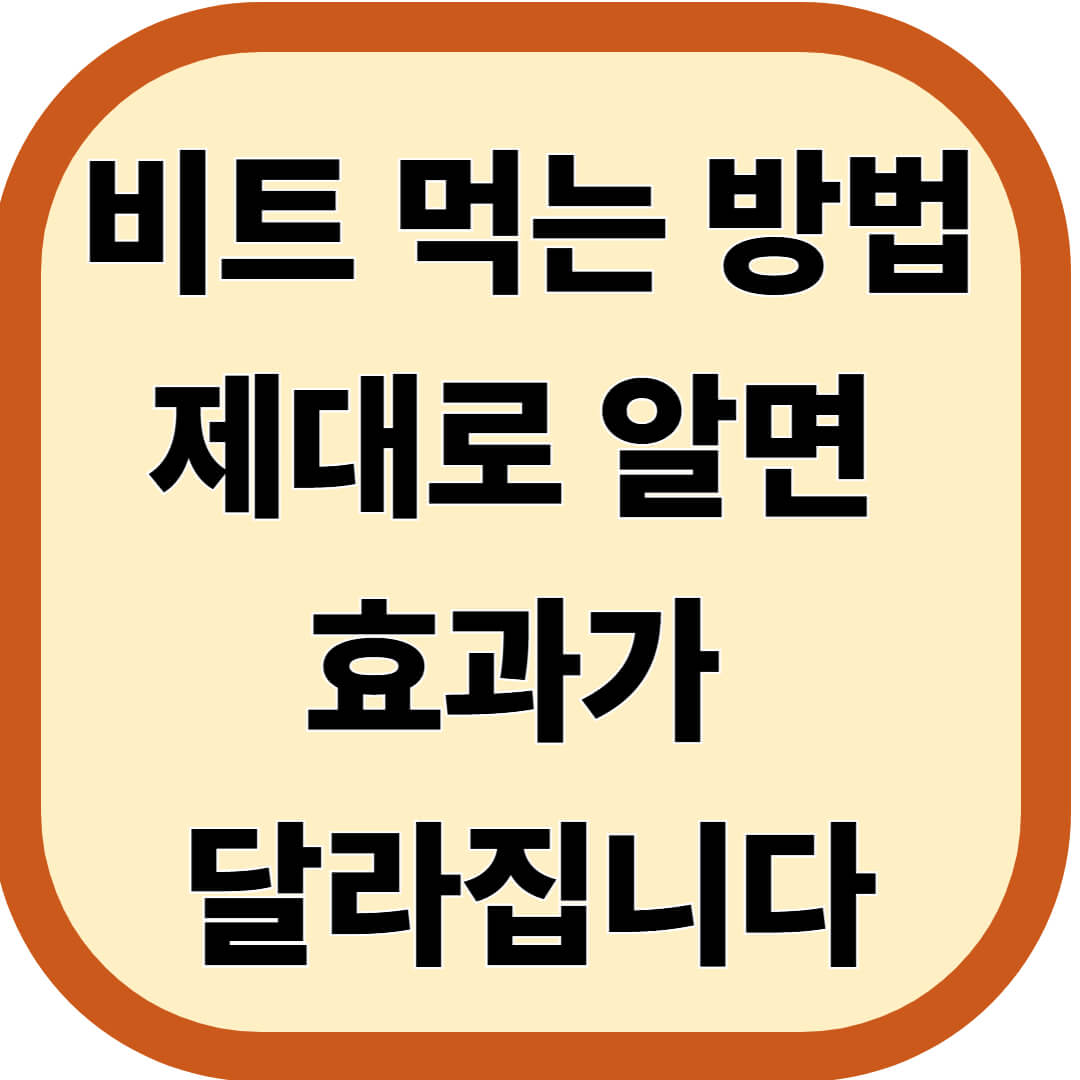 비트 먹는 방법