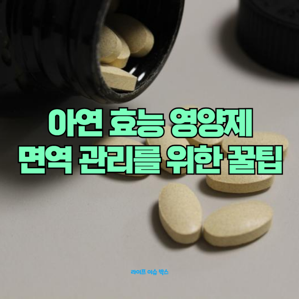 아연의 주요 효능과 부작용, 아연 섭취 꿀팁