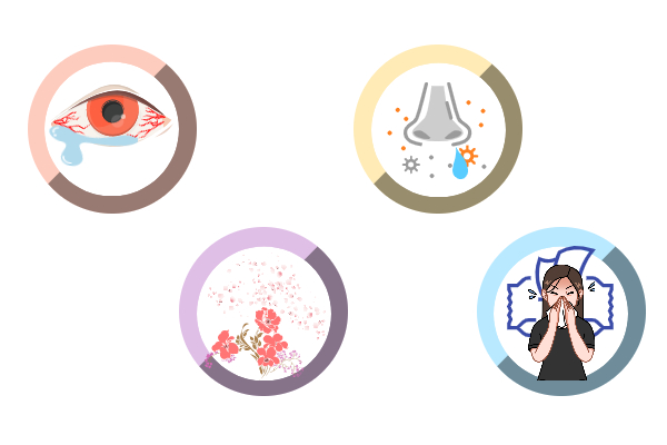 꽃가루알레르기로 콧물, 충열, 꽃가루주의, 재채기가 생깁니다