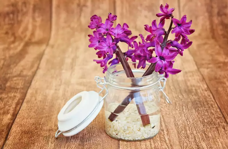 선물 받은 꽃 잘 보관하는 방법