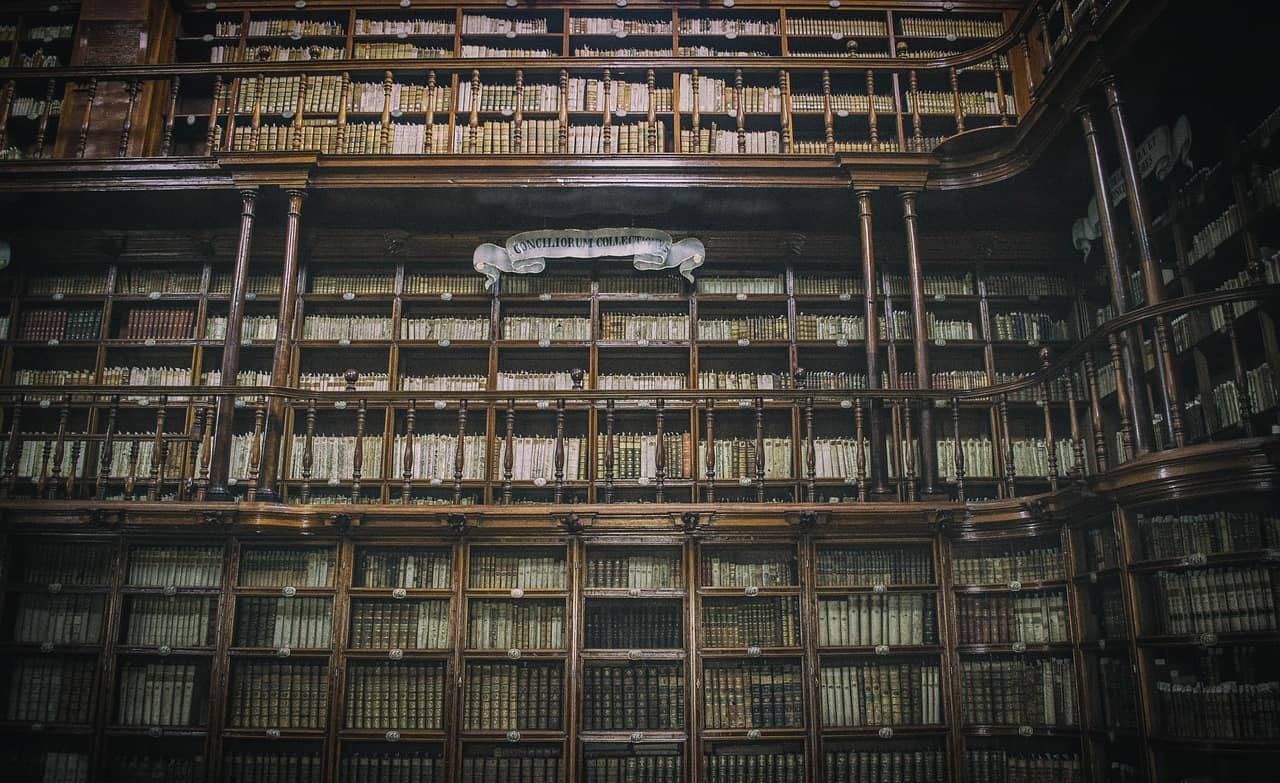 [맹점] 기억 상실과 정체성 혼란, 자아 분리의 심리학적 해석