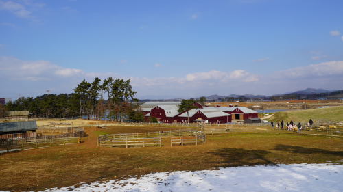 전북 고창 숙박 상하농원 파머스 빌리지 패밀리룸 조식