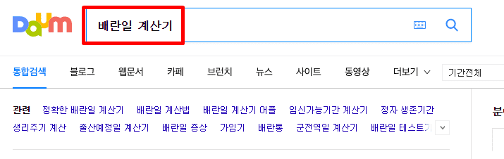 검색사이트에서 배란기 검색