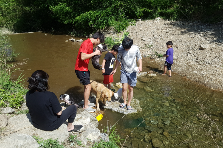 경기-가평-캠플레이-캠핑-사진-입니다.