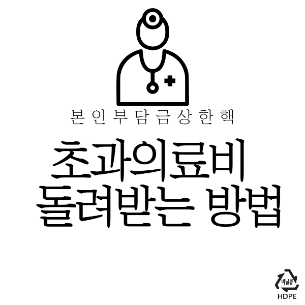 2022년 본인부담상한액 초과 의료비 돌려받기