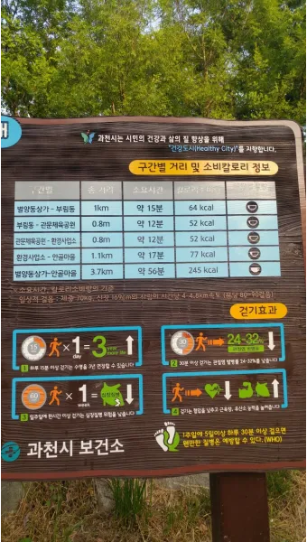 걷기 칼로리 계산기 걸음수 소비 칼로리_20