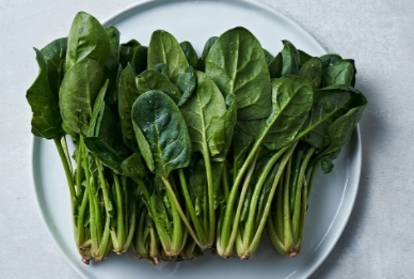 눈에-좋은-음식