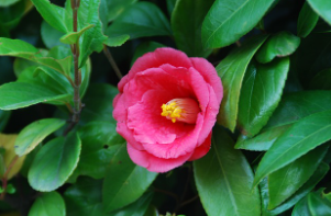 입춘 인사말 이미지 뜻 2025년 입춘시