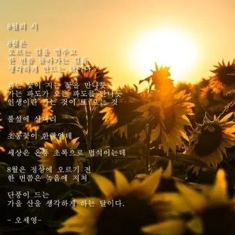 8월의 시모음 자료집_18