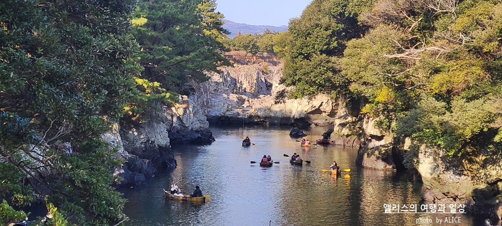 제주 노블피아호텔 주변 서귀포 가볼만한곳 BEST 10 