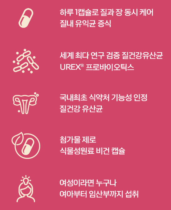 질유산균 뉴오리진 이너플로라