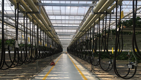 그린플러스의 스마트팜