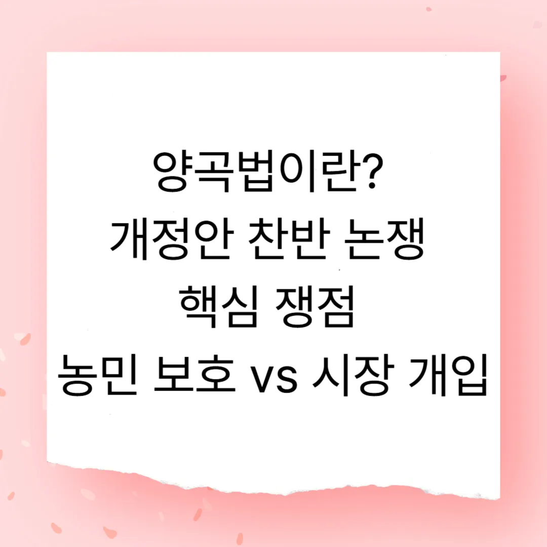 양곡법이란? 개정안 찬반 논쟁 핵심 쟁점 – 농민 보호 vs 시장 개입