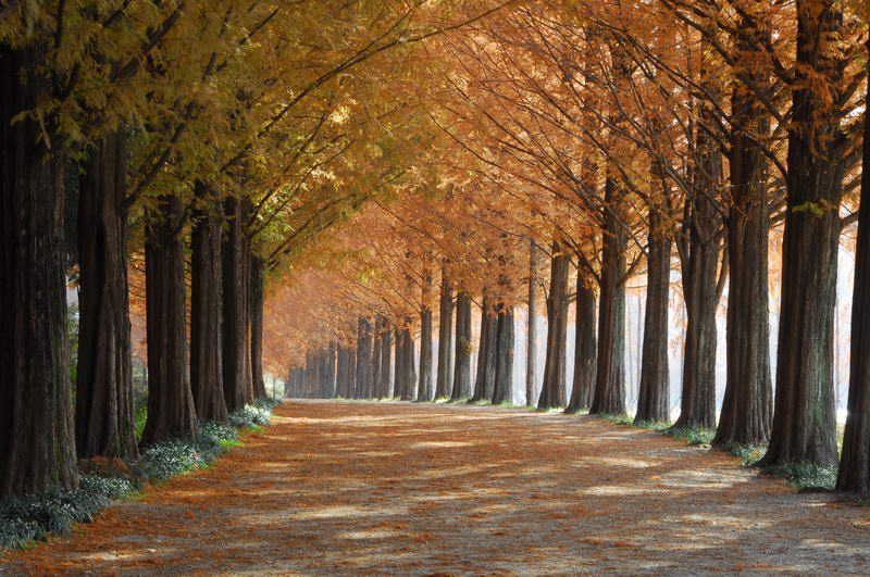 전라도-드라이브