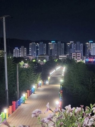 울산 삼호교 붕괴