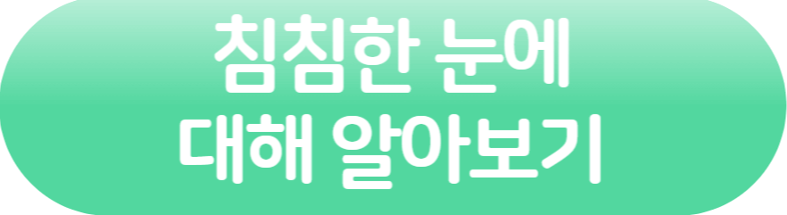 침침한눈