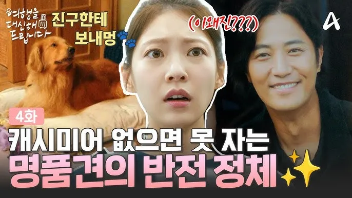 전 세계에서 가장 비싼 강아지 TOP20 몸값 높은 명품견 총정리 안내_2