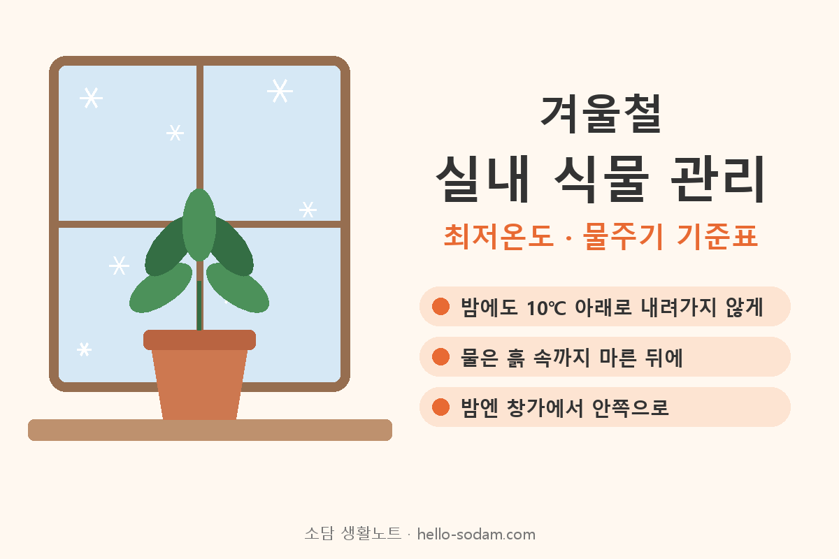 겨울철 실내 식물 관리 최저온도와 물주기 핵심 3가지 대표 이미지
