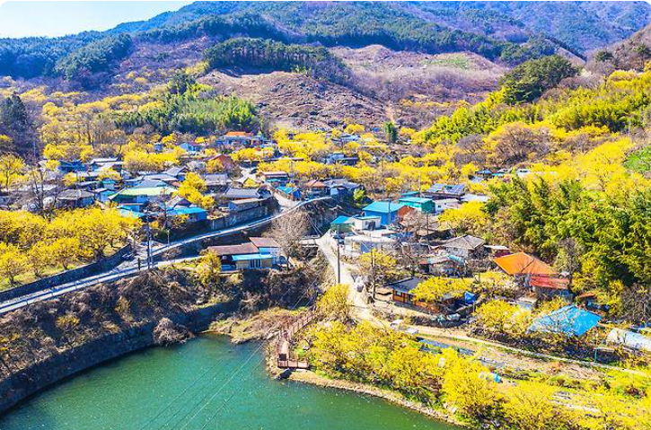 구례 산수유축제 포토존