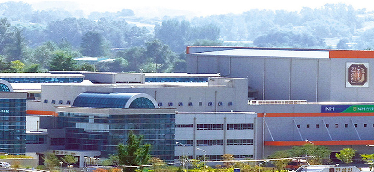 2025 증평인삼골축제&amp;#44;인삼 체험 축제