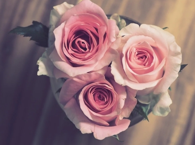 회갑 선물에 좋은 것