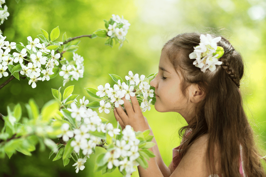 냄새 여행 - 숲향기&middot;꽃향기&middot;흙냄새