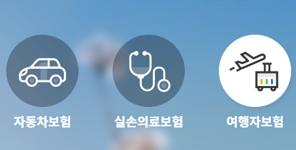 해외여행자보험 가격비교 사이트 정리