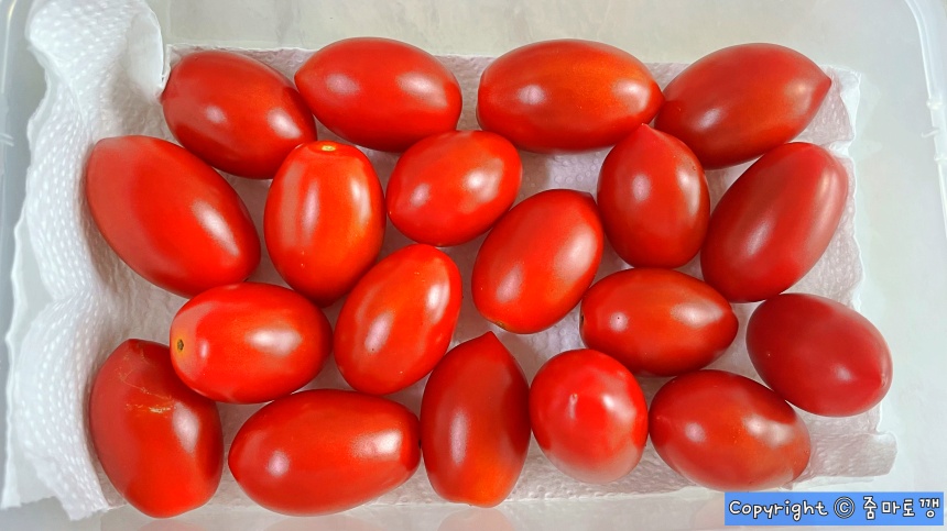 키친타월-깔아주기