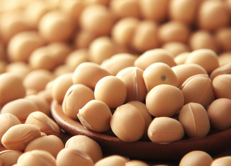 비타민B6가 많이 함유된 음식