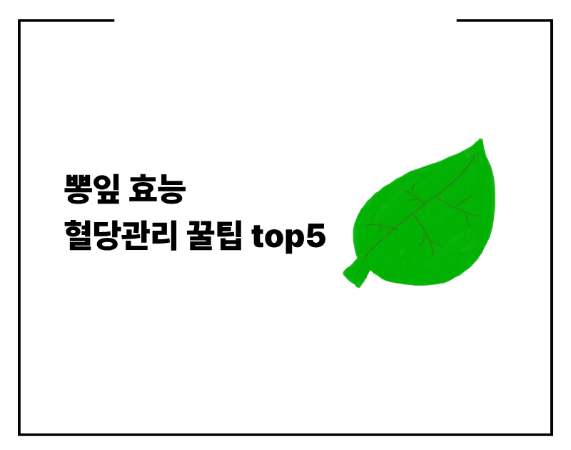 뽕잎 효능 혈당관리 꿀팁 top5