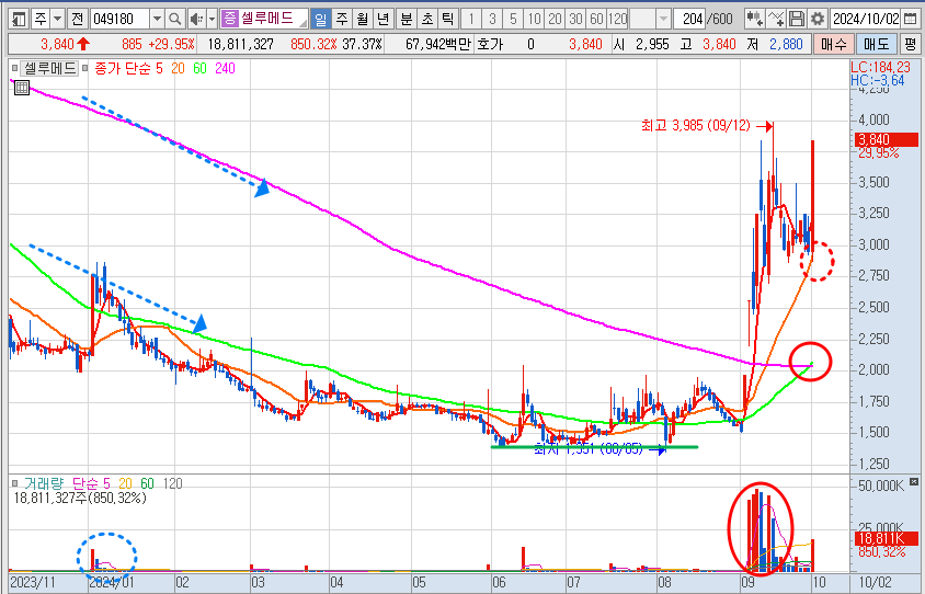셀루메드 일봉 차트 분석