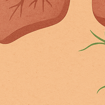 폐결절부터 성대결절·림프절 결절 총정리