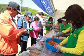 제 14회 영덕 물가자미축제 기본일정과 프로그램 소개 미스트롯3 권연서 출연