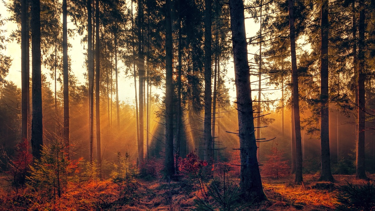 환절기 건강관리법 알아보기