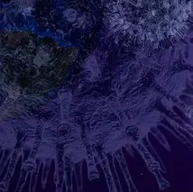 동남아 베트남 코로나19 재유행