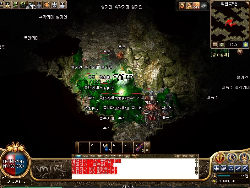 미르의전설2-도사-스킬-독무를-이용한-몰이-사냥-초록색-독이-묻은-몹을-볼-수-있다