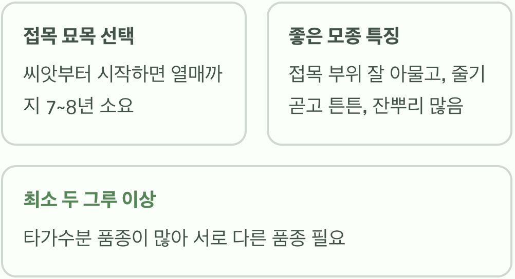 첫 단추가 중요해요, 튼튼한 모종 고르기