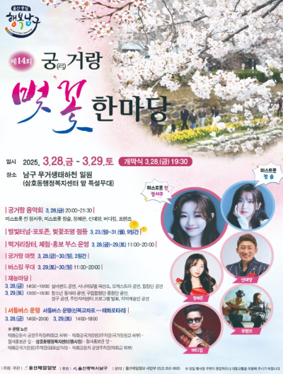 2025 벚꽃 축제