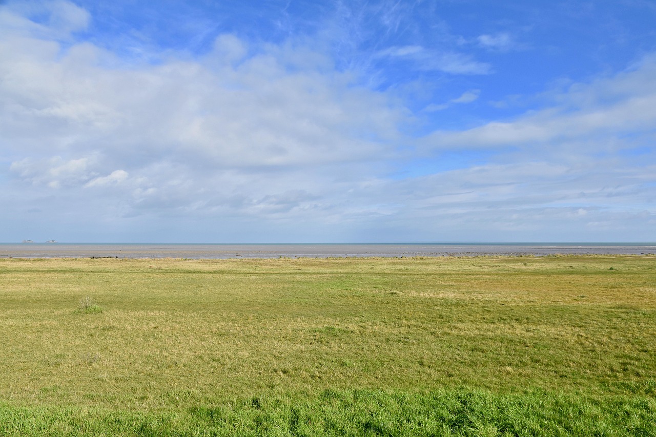 정부정책 변화로 승인 실패한 사례분석 (금융정책, 가계대출, 금리)